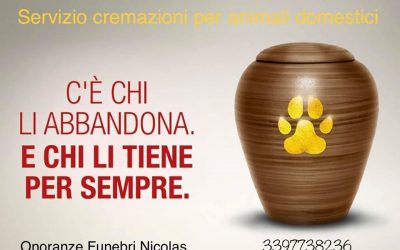 Funerali per animali domestici