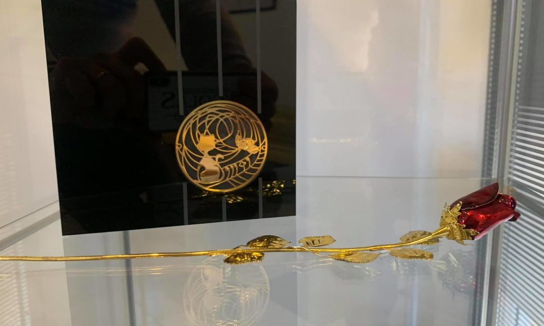 Per i nostri amici a 4 zampe