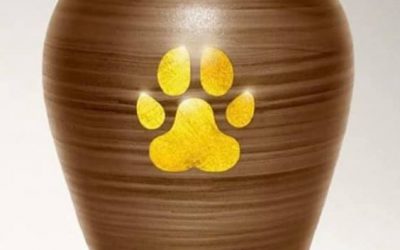 Funerali per animali